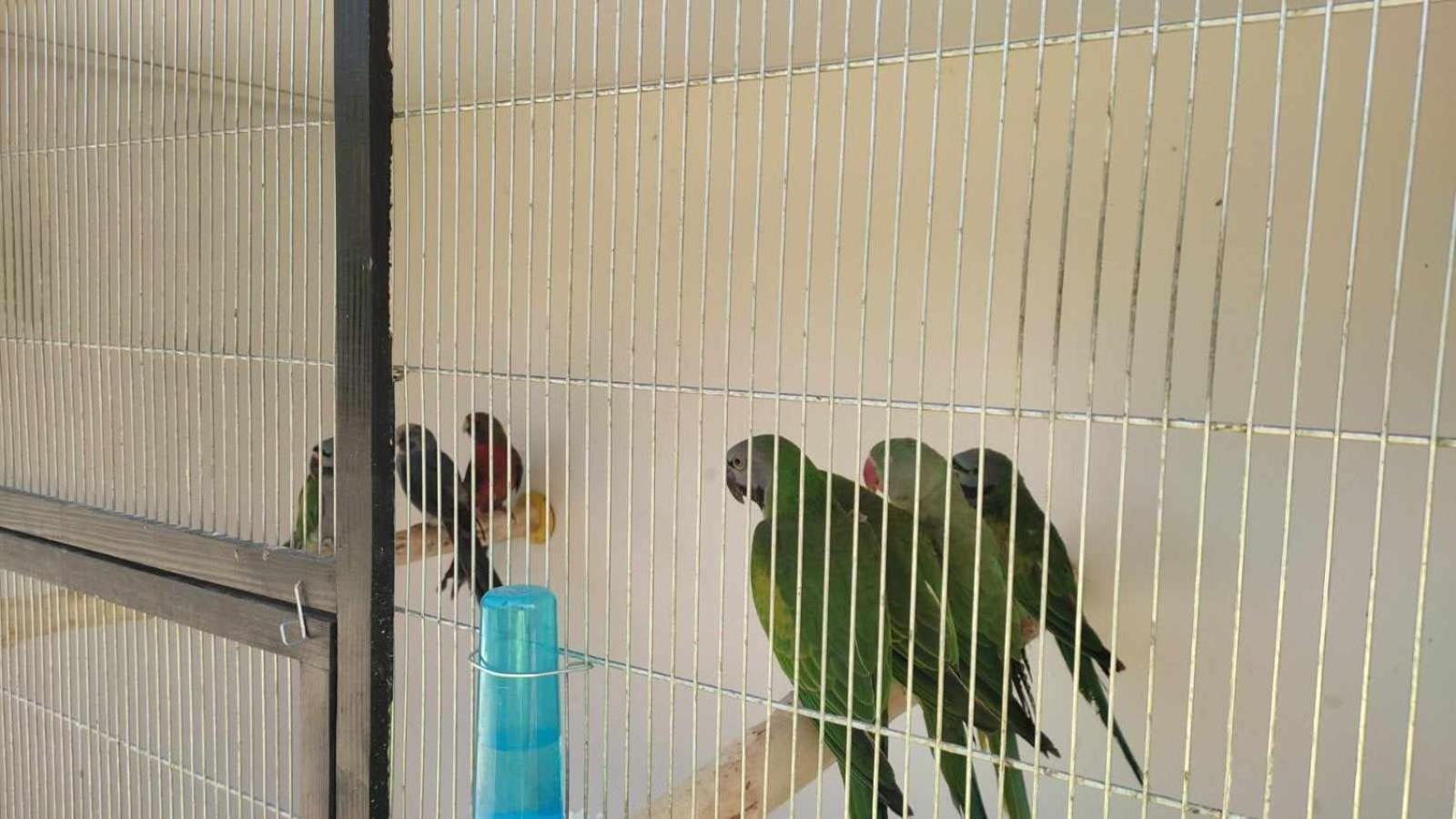 Hostel Roza ซูวาว์กี ภายนอก รูปภาพ